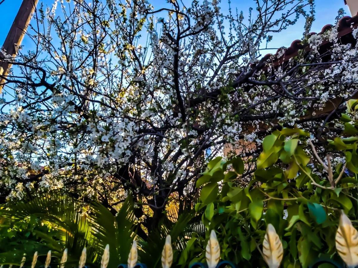 West Garden At Aigio By Greece Apartments Luaran gambar