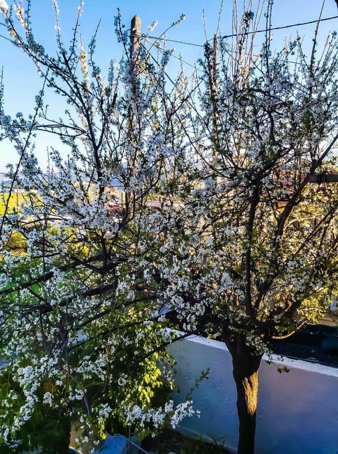 West Garden At Aigio By Greece Apartments Luaran gambar